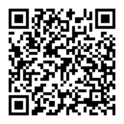 Mặt Nạ Gương (Phim Việt Nam)